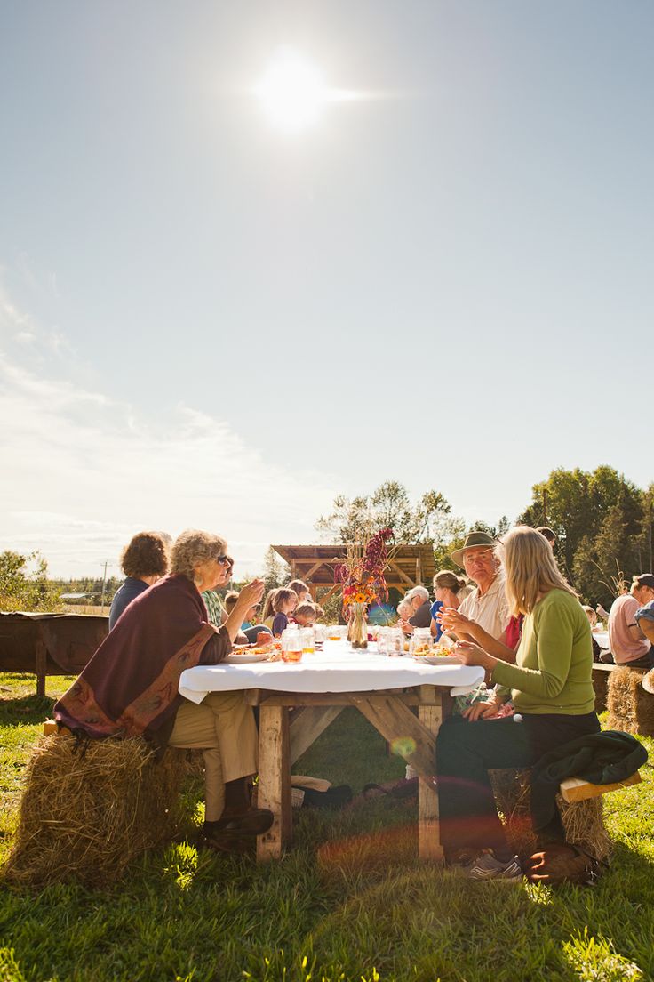 Slow Food at Waldegrave Farm - wonkyeye.ca