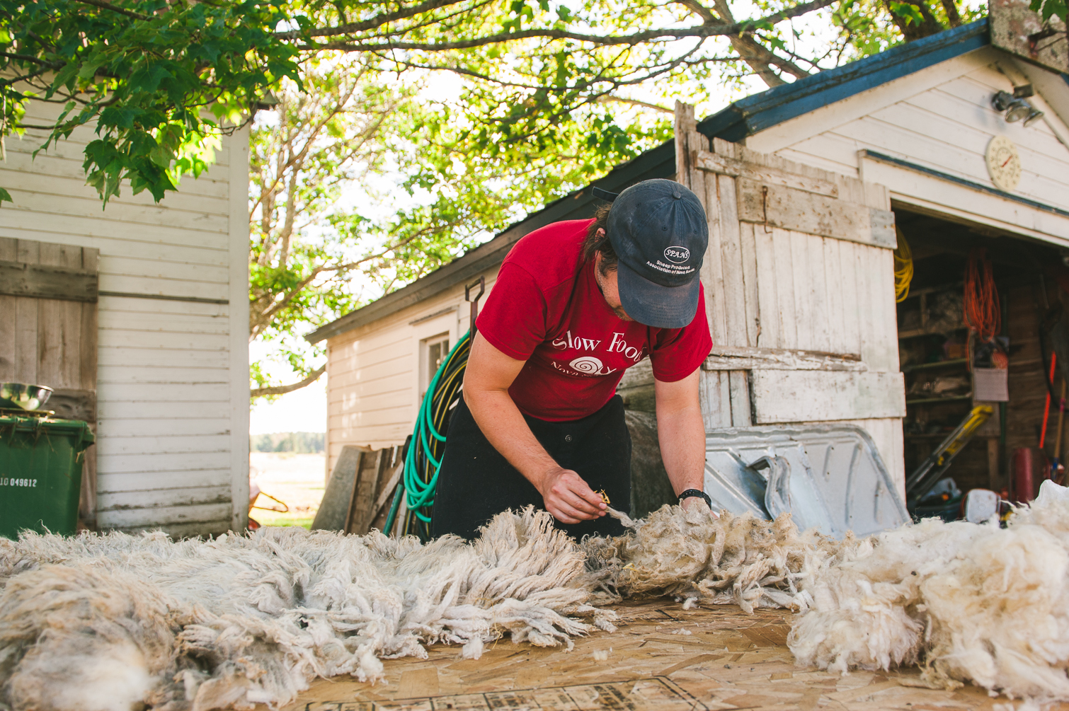 harrier_hill_sheep_wool-3