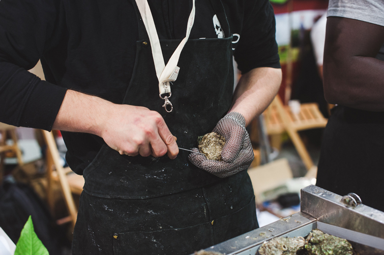 terramadre2014-17