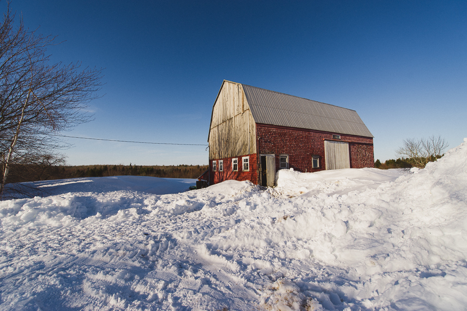 harrierhill.ca