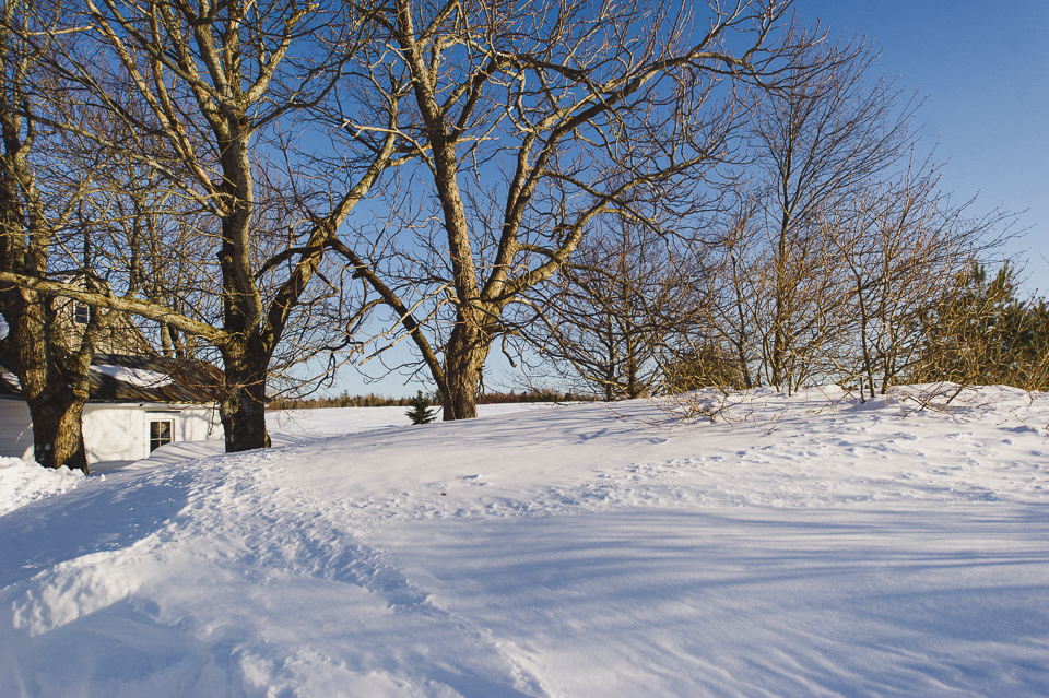 harrierhill.ca