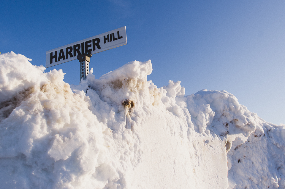 harrierhill.ca