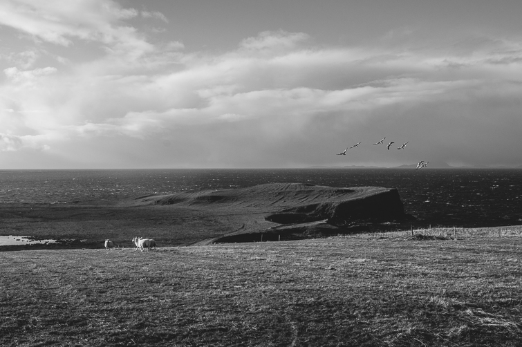 isle of skye, scotland ::: harrierhill.ca
