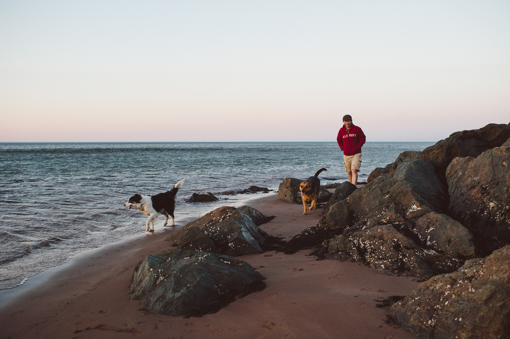 a smelly dog and the sea